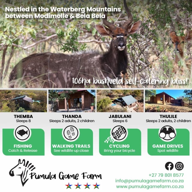 Pumula Game Farm-huntandgun.co.za-hunt and gun